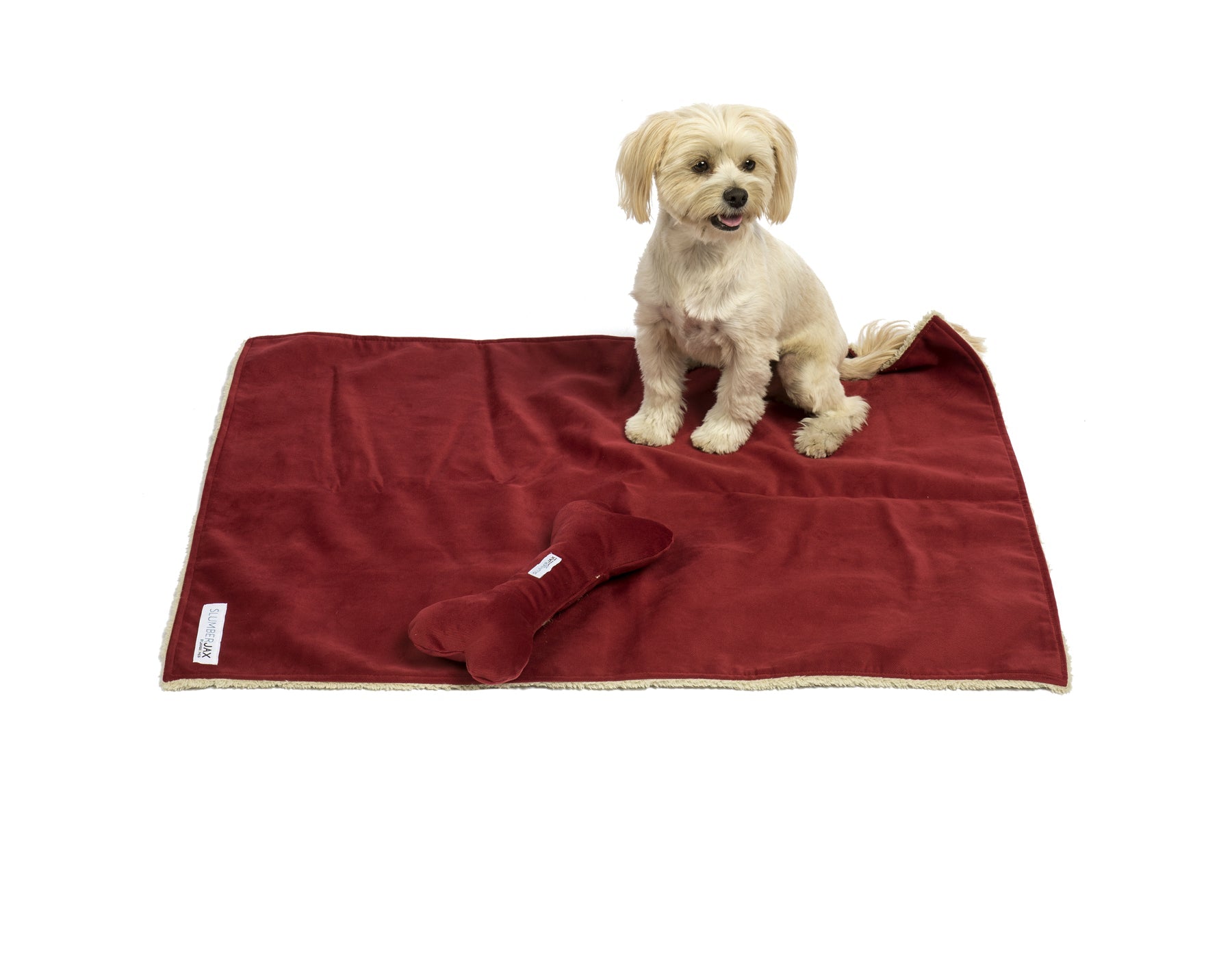 Blanket and Bone Toy Set- Spa Tomato