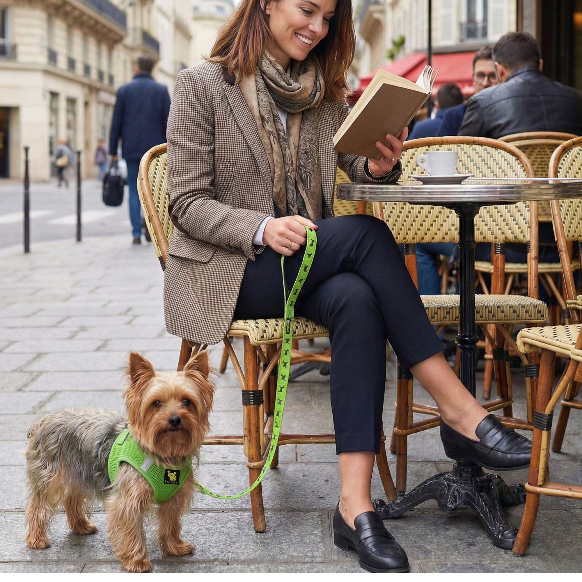 EcoBark Green Dog Leash- Padded Comfort Grip Leash - 4ft, 5ft, and 6ft Dog Leash for Small and Medium Dogs
