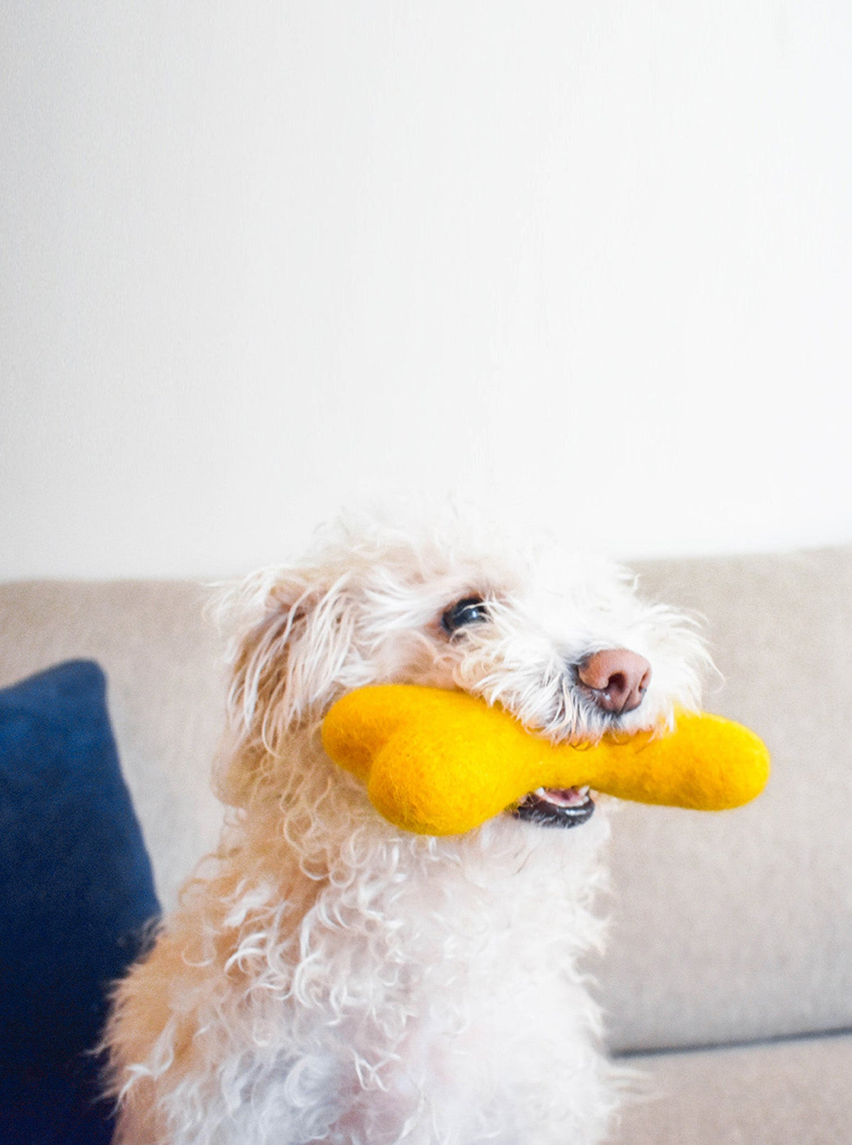 MB WOOLBONE | HT Animal Supply