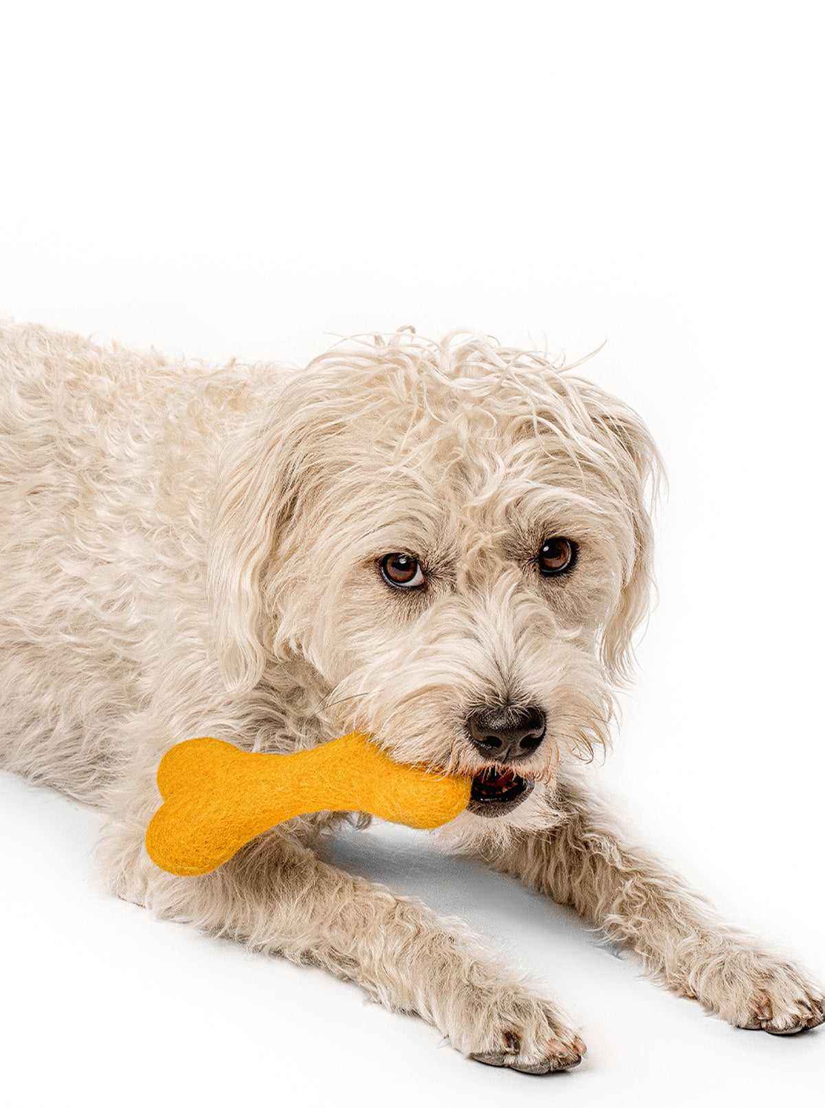 MB WOOLBONE | HT Animal Supply