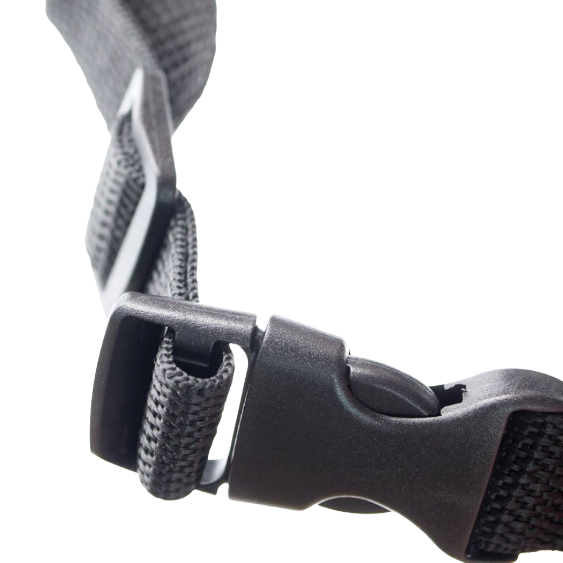 Extra Small Music Patterned Muzzle for Dogs by Artero