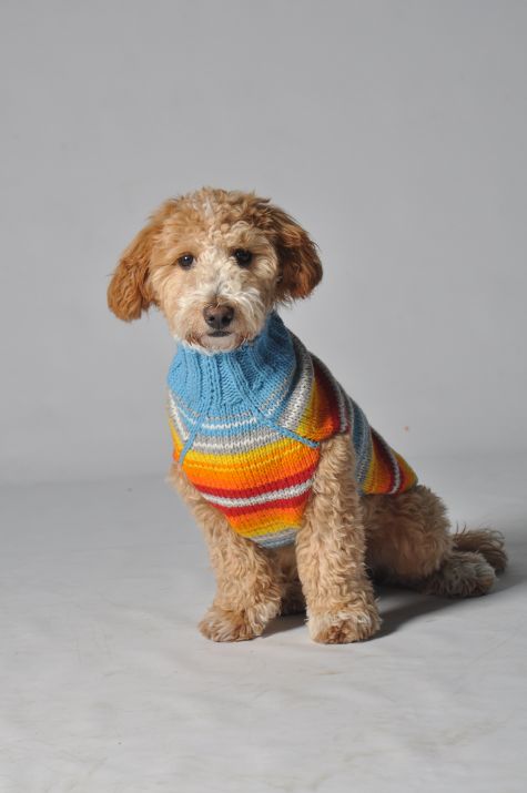 Chilly Dog Turquoise Serape Wool Dog Sweater