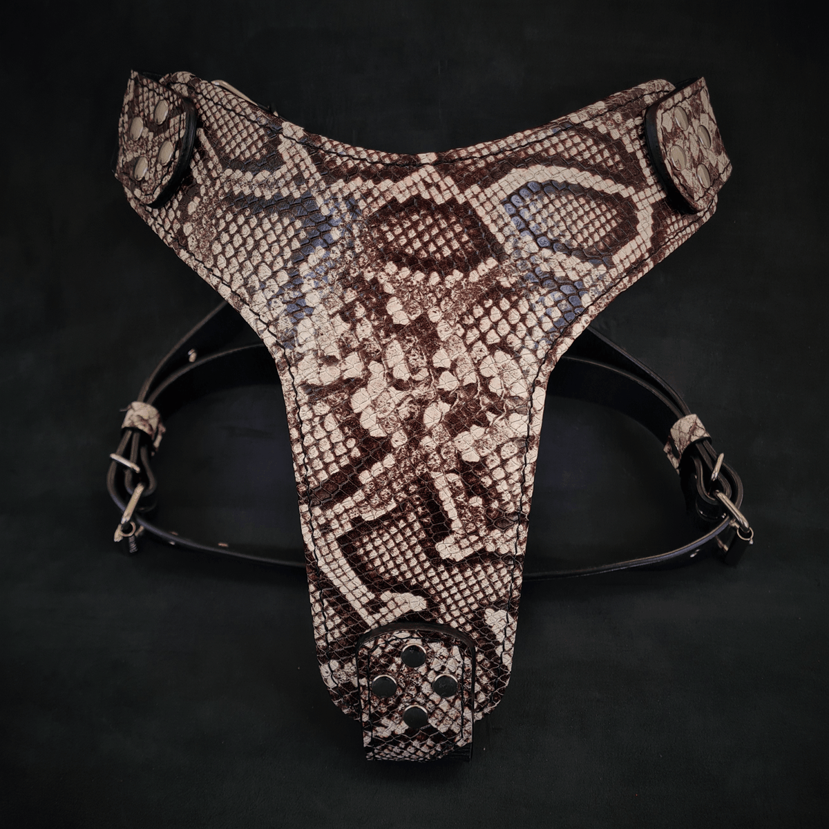 Bestia Rock Python Leather Dog Harness