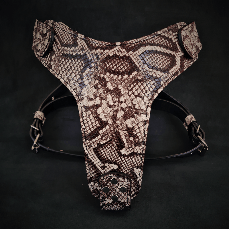 Bestia Dog Gear The Rock Python harness Genuine Leather pet supplies