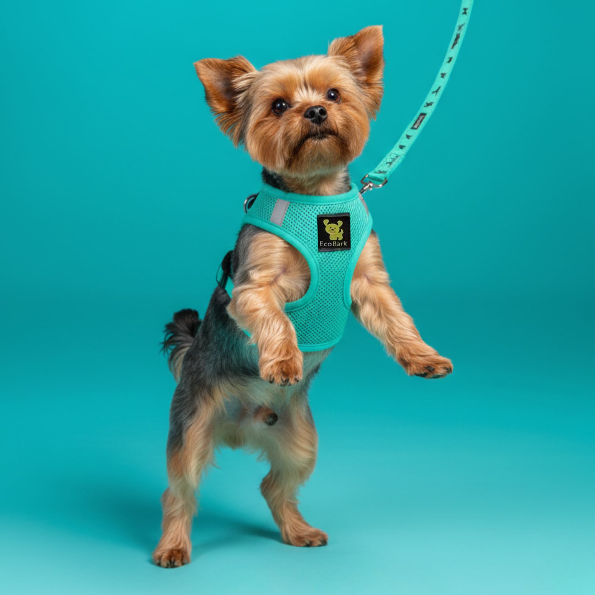 EcoBark Step In Dog Harness - Teacup & Small Breeds- Reflective Soft Mesh Harness for Teacup, Small Dogs and Puppies / Mint Turquoise