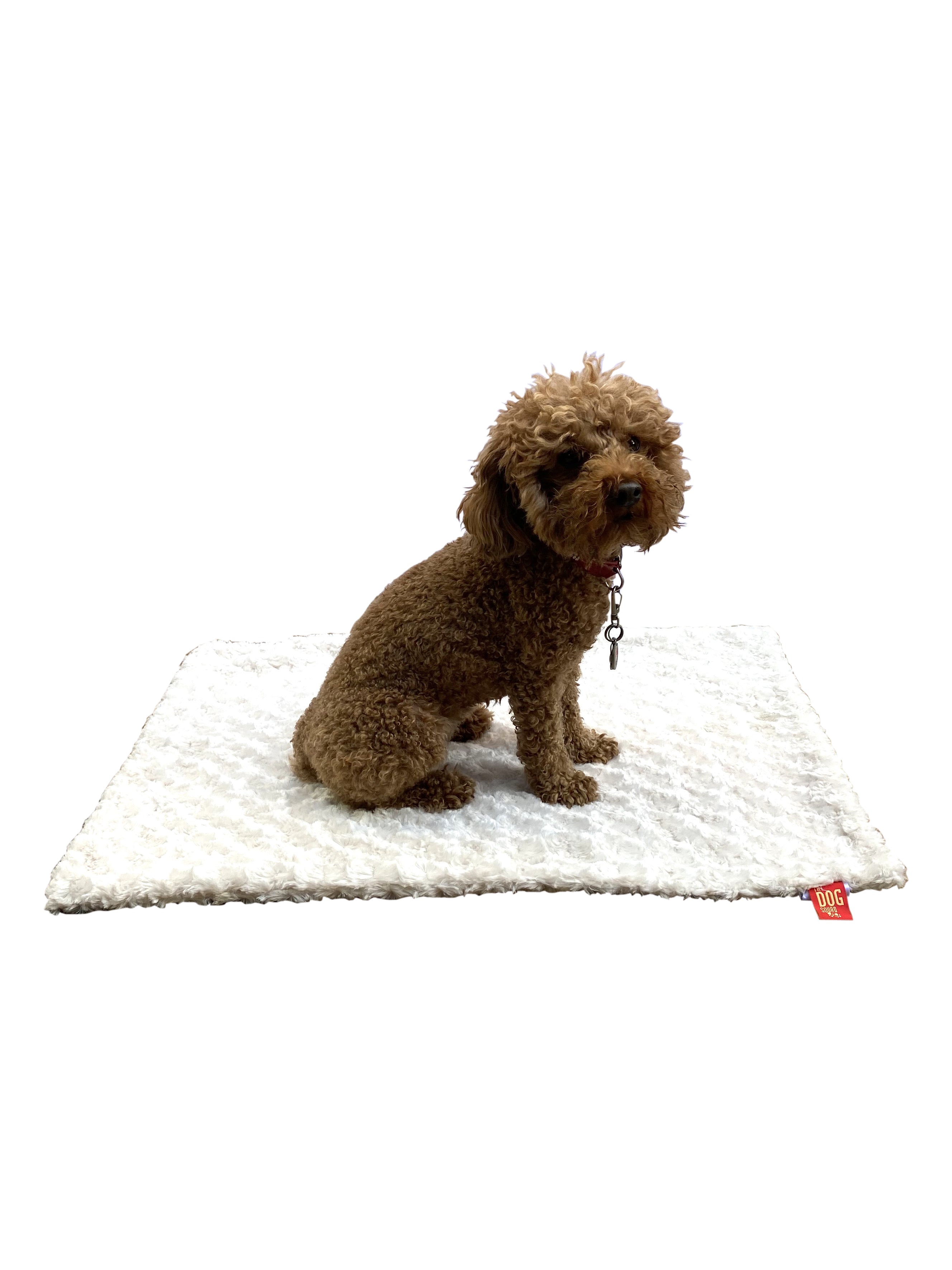 Small Blanket, Rosebud Sand