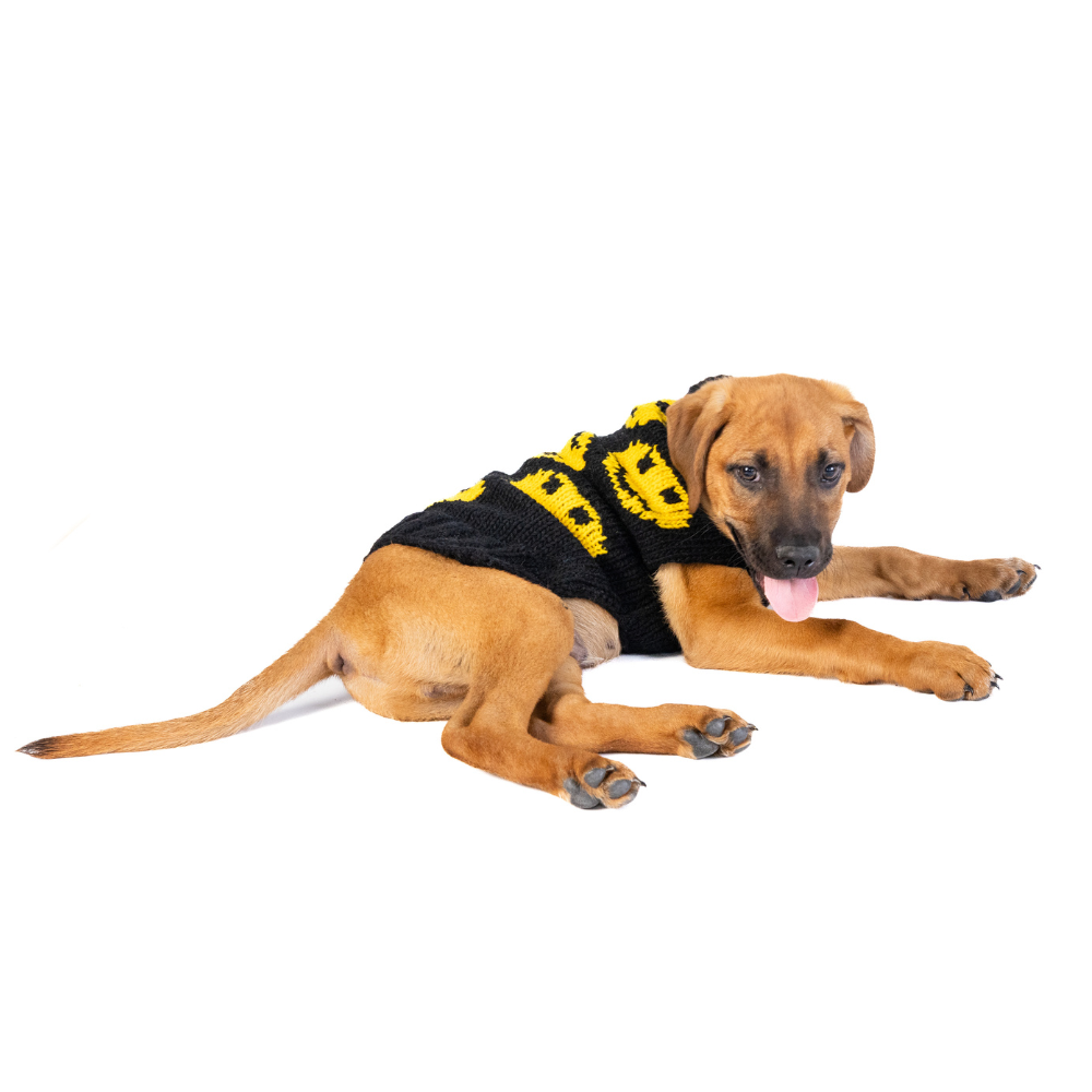 Chilly Dog Smiley Wool Dog Sweater