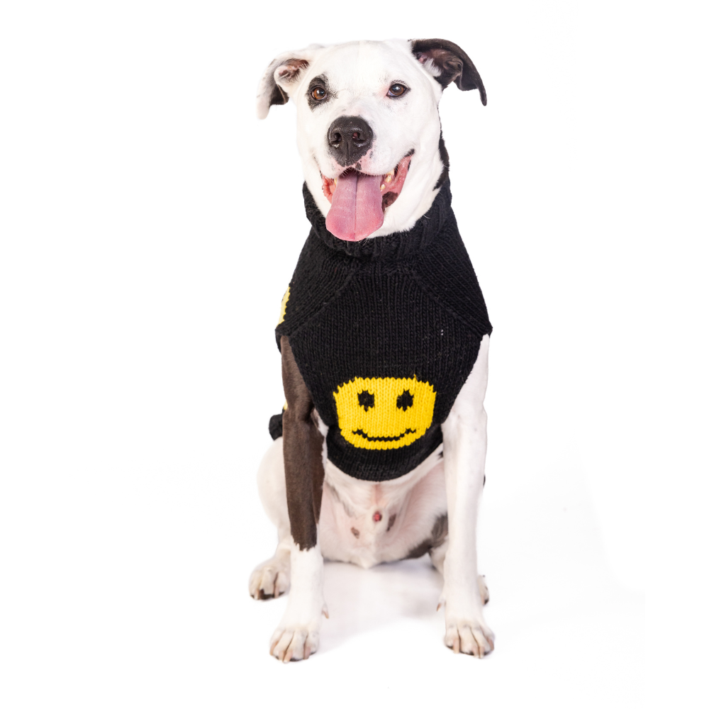 Chilly Dog Smiley Wool Dog Sweater