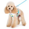 SnapGO Polo Harness