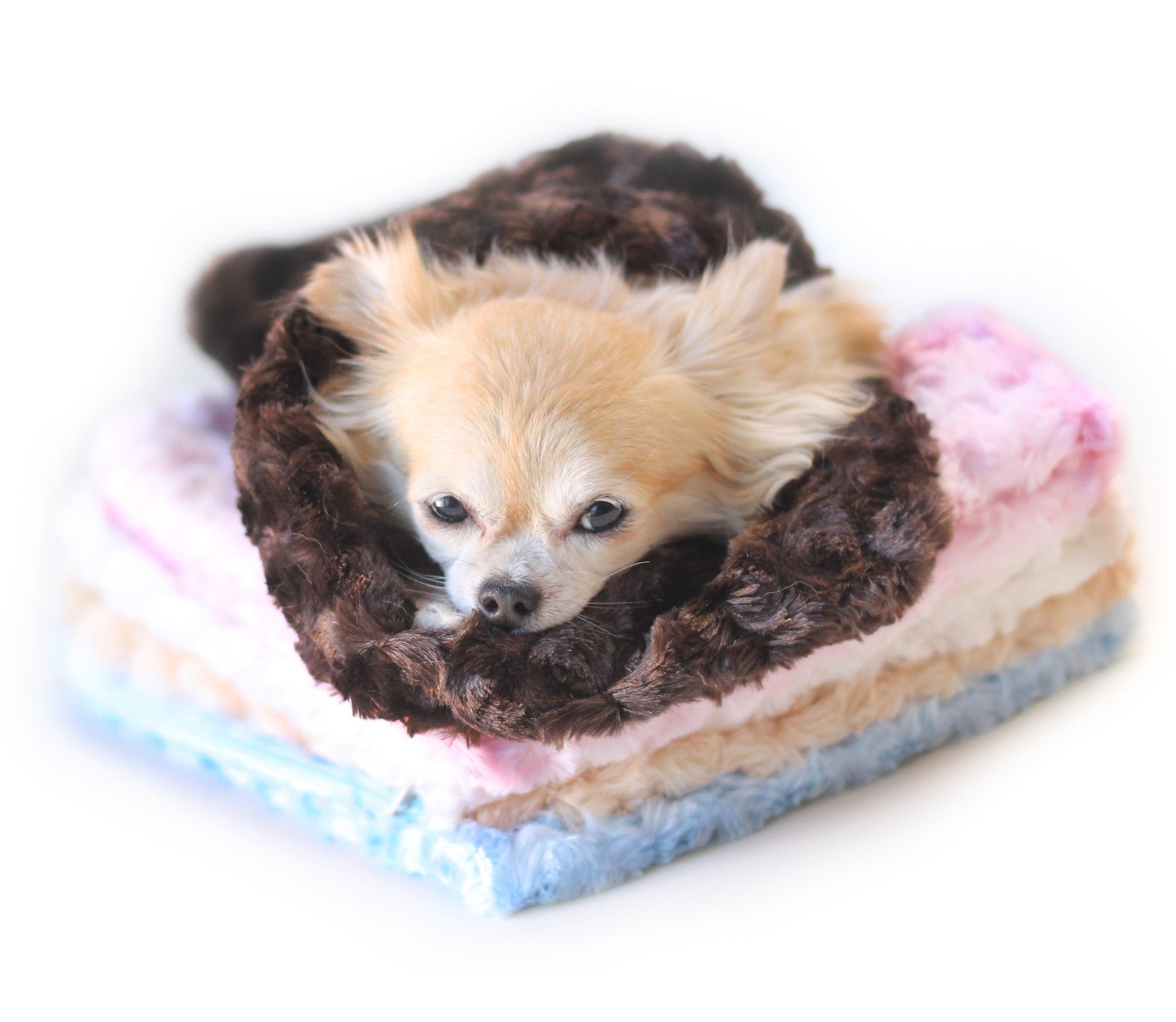 Hello Doggie Snuggle Pup Blue Dog Sleeping Bag