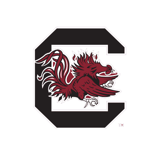 NCAA University of South Carolina, Cocky Knottie Plush Dog Toy