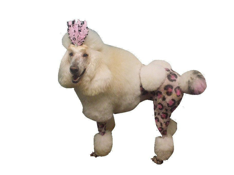 Critter Color - Temporary Pet Fur Coloring/Dog Dye