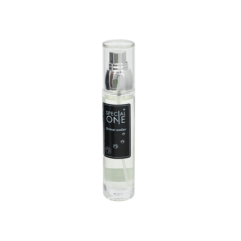 Perfume Brave Water 50 ml by Special One