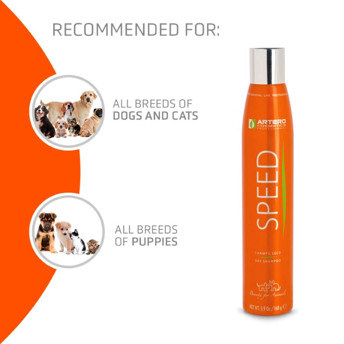 SPEED Dry Shampoo by Artero