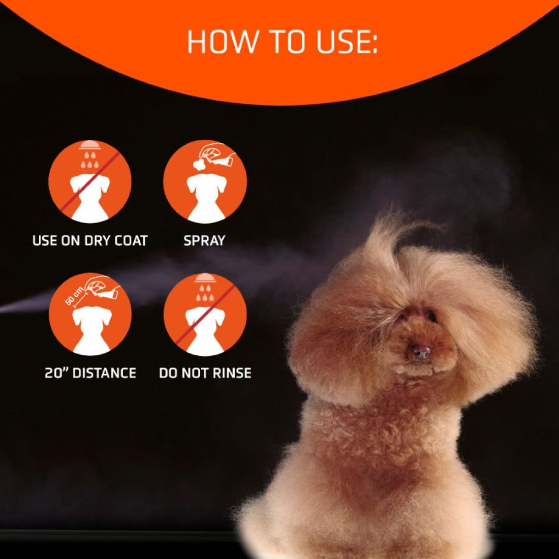 SPEED Dry Shampoo by Artero