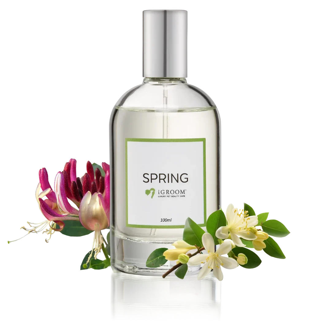 Spring Perfume 100ml by iGroom