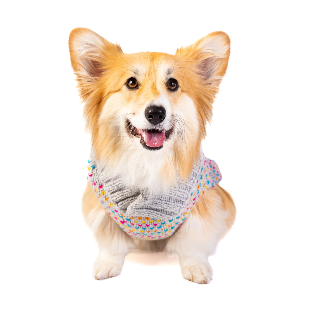 Chilly Dog Sprinkles Wool Dog Sweater