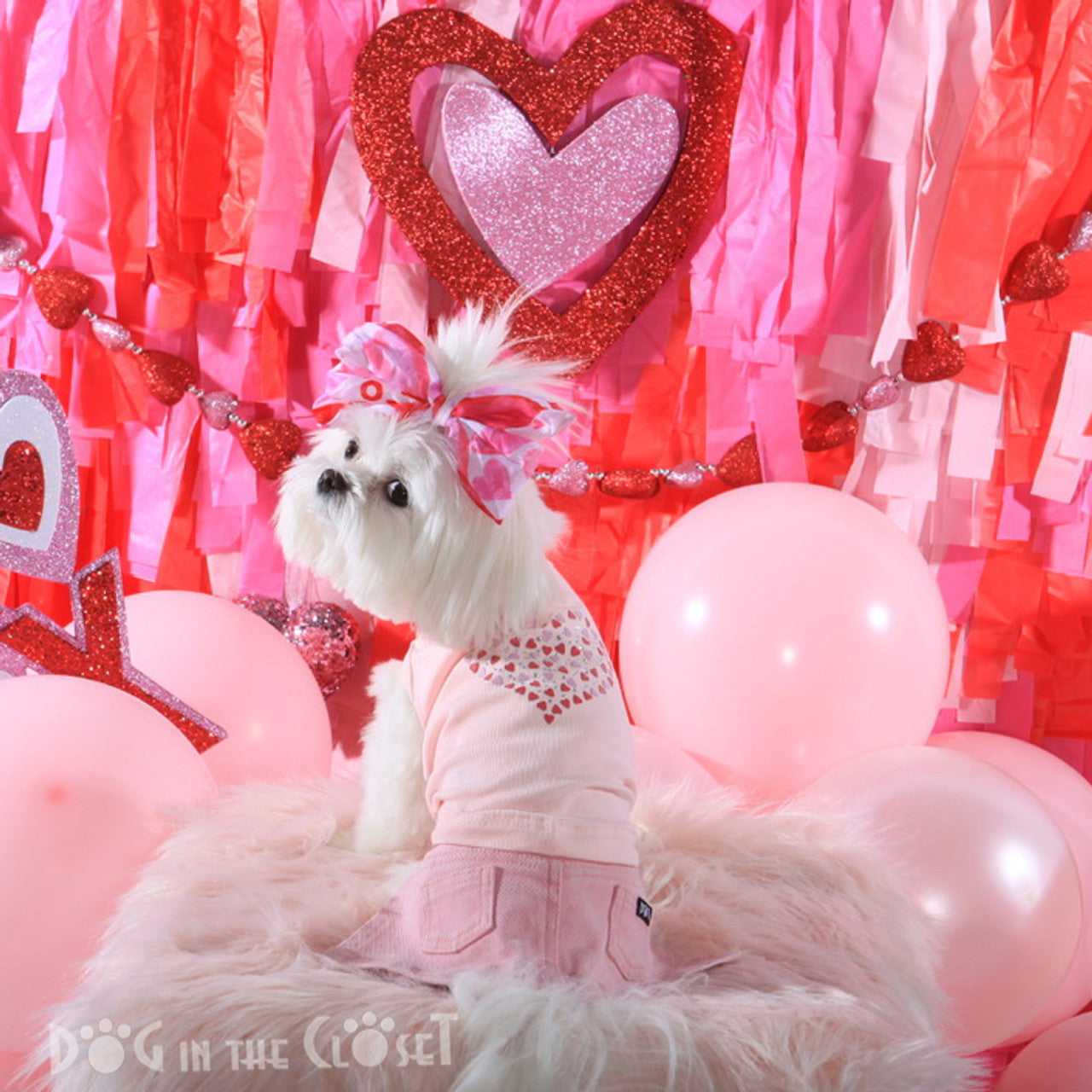 Pink Jane Denim Dog Skirt