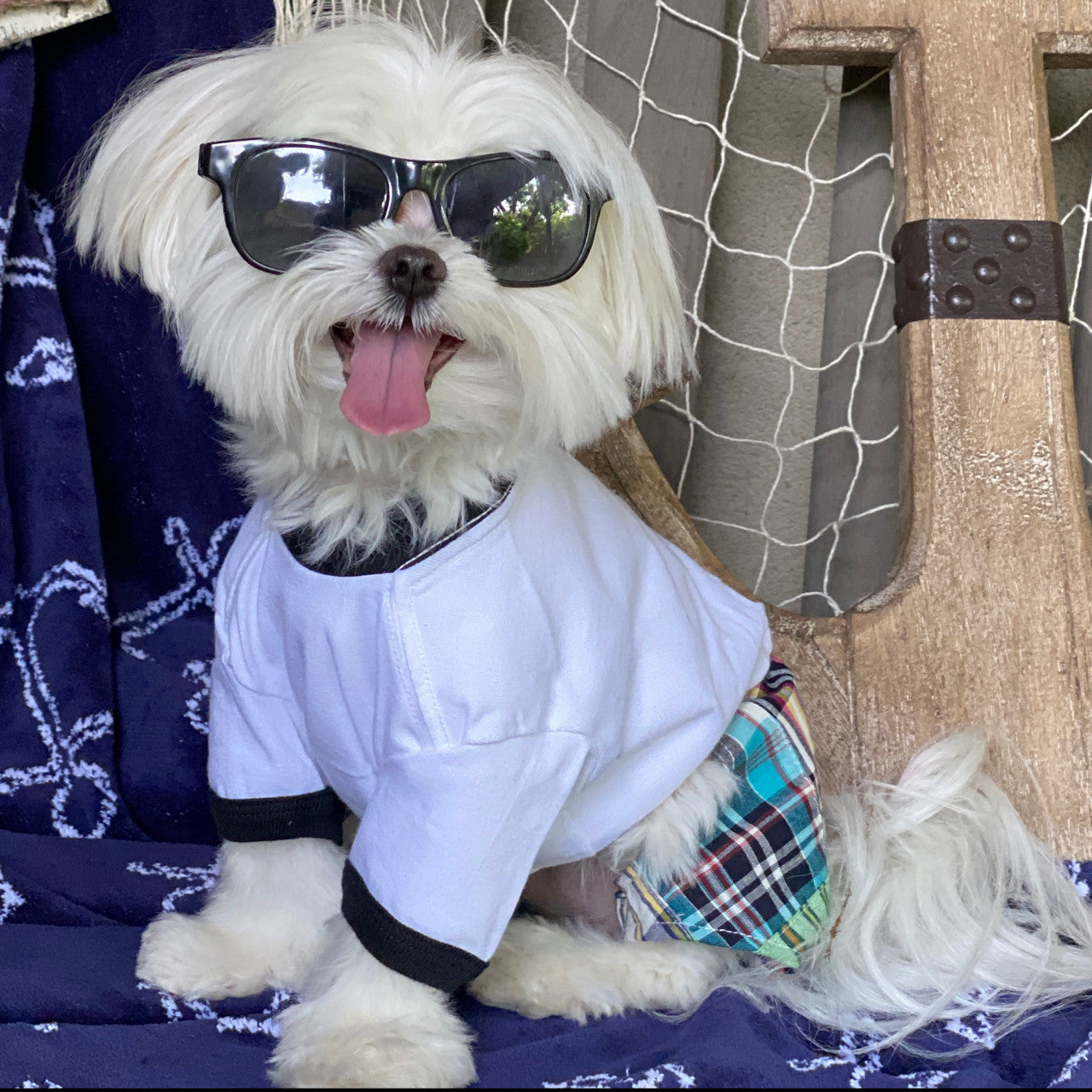 Madras Plaid Patchwork Boxer Shorts for Dogs