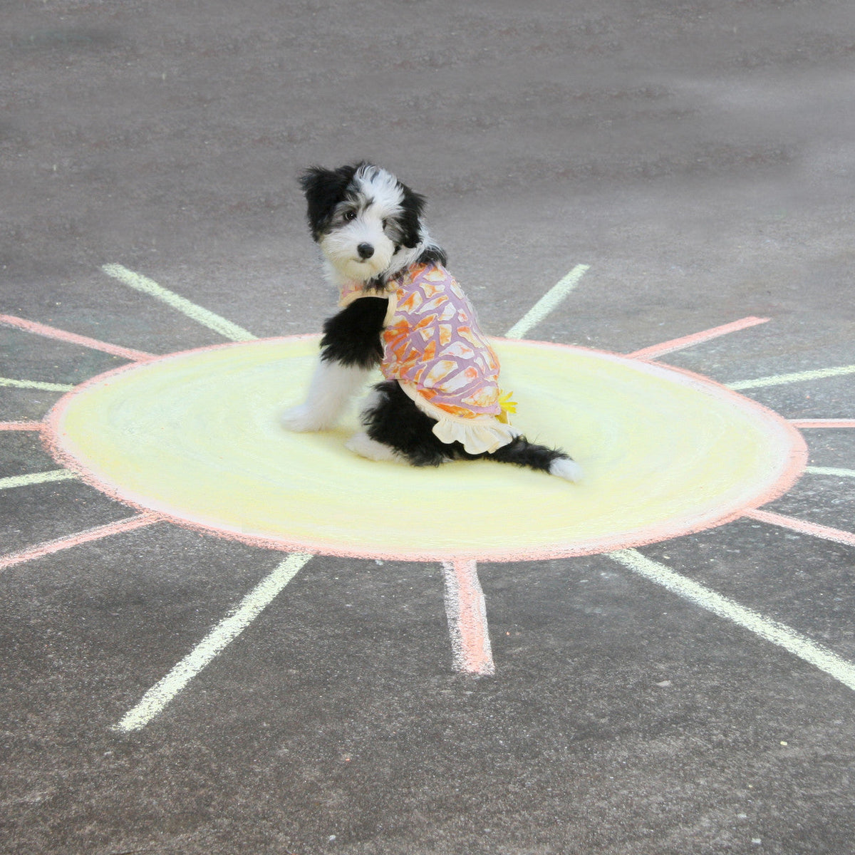 The Sunshine - Tie Dyed Dress