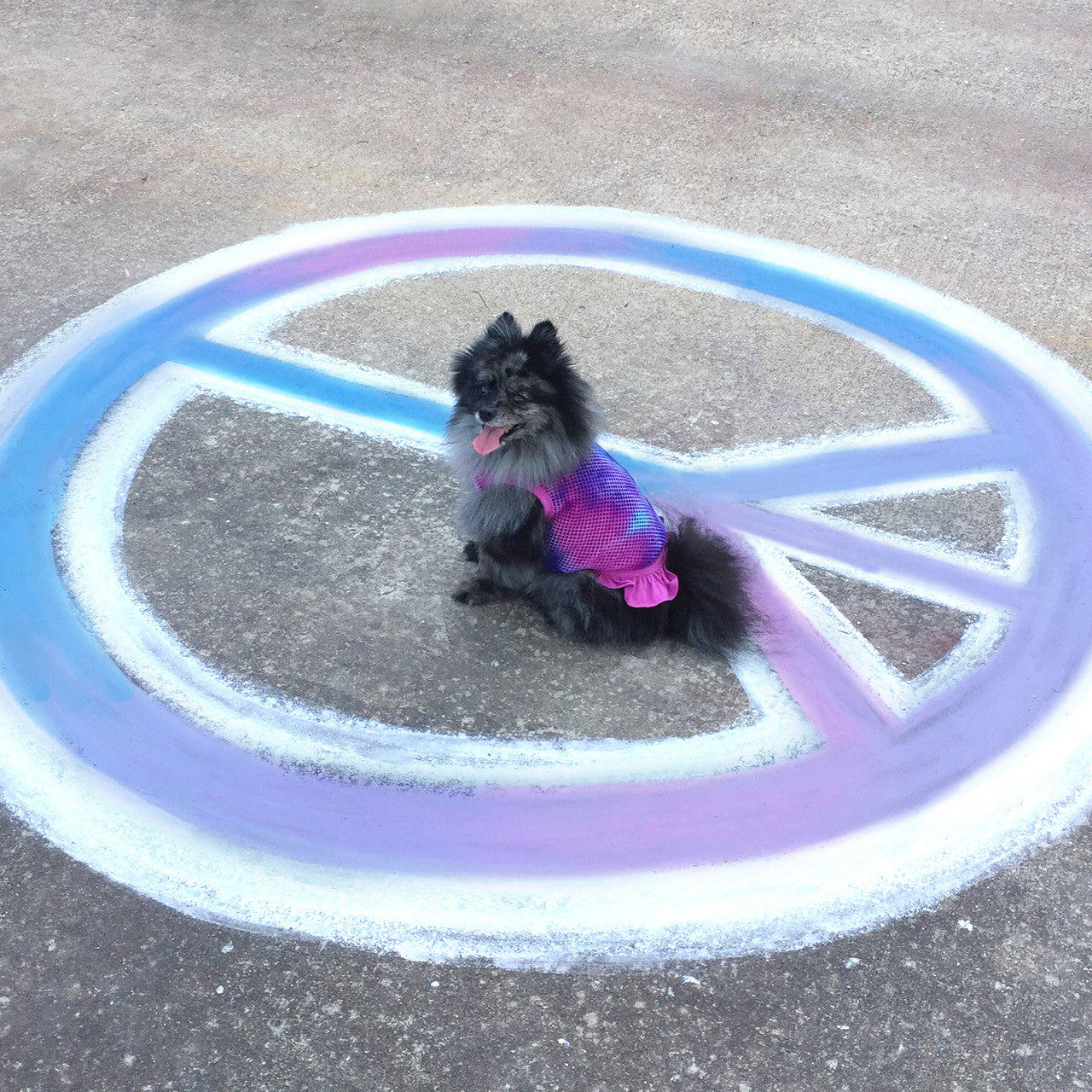 The Peace & Love - Tie Dyed Fishnet Dress