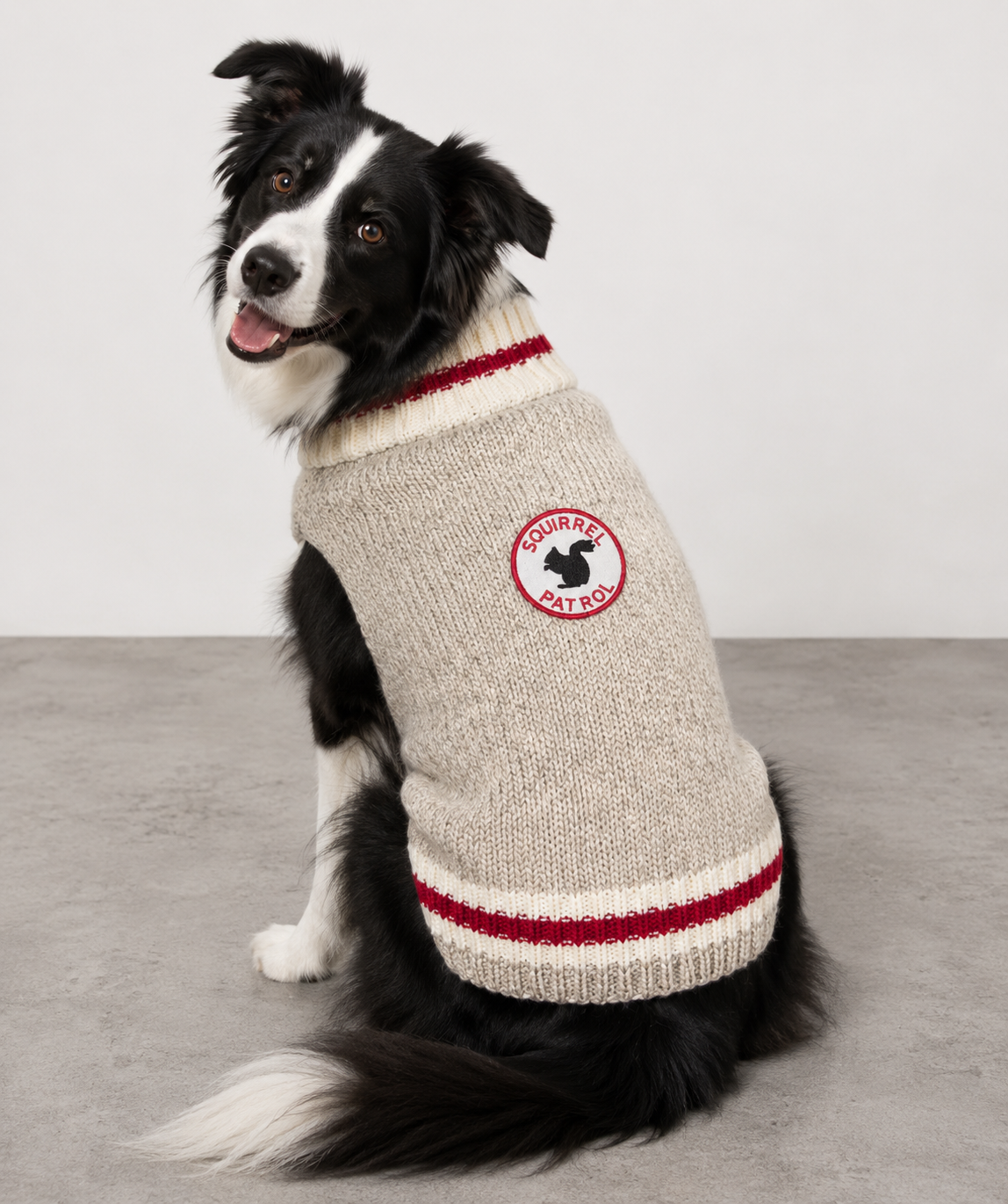 Chilly Dog Squirrel Patrol Wool Dog Sweater