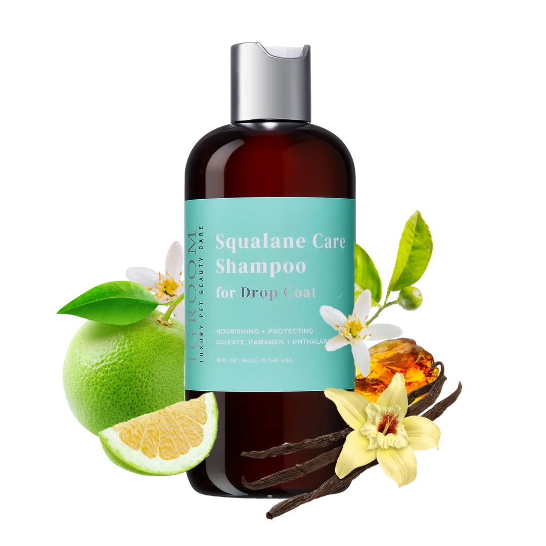Squalane Care Shampoo 16oz by iGroom