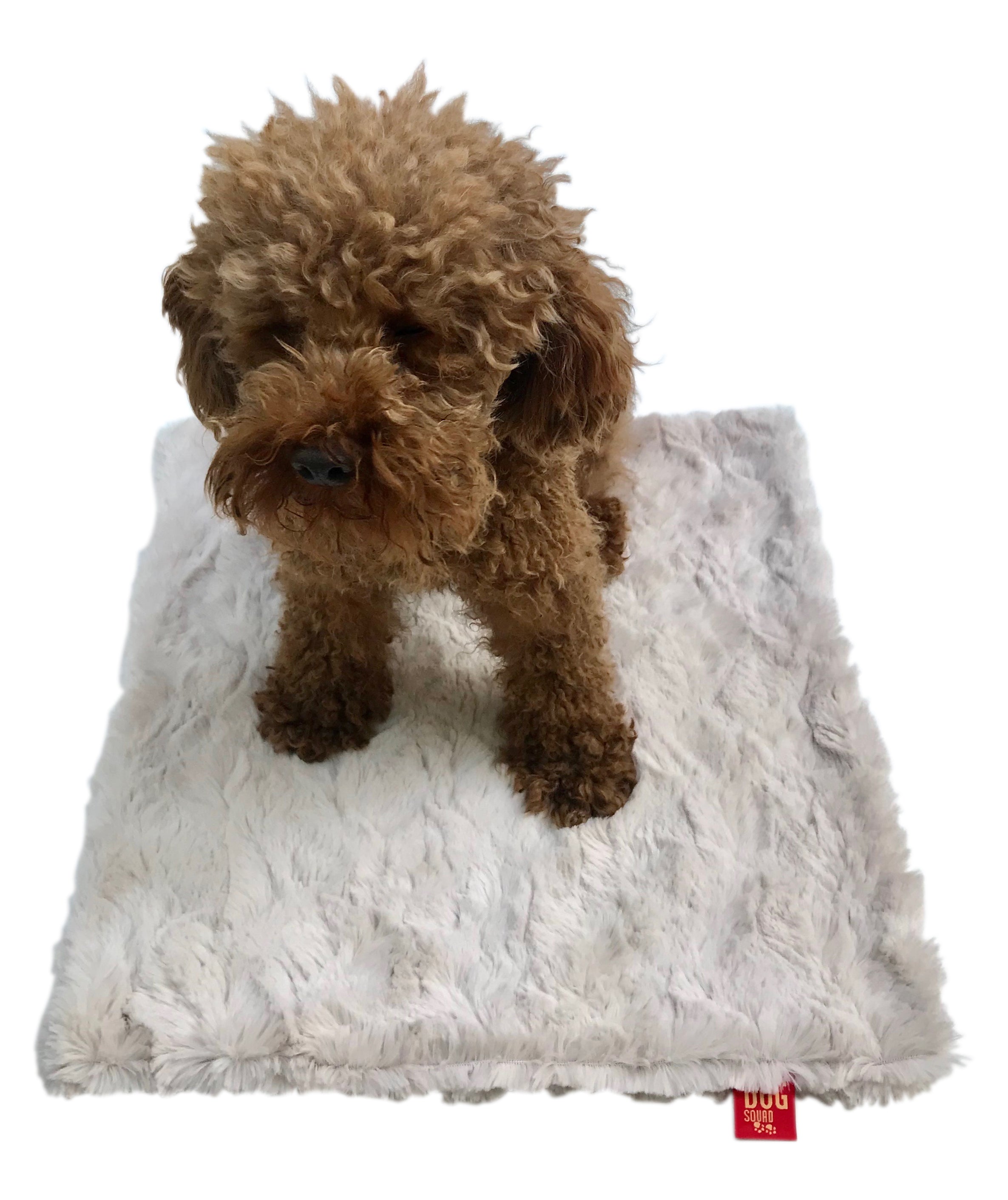 Blanket, Bella Taupe