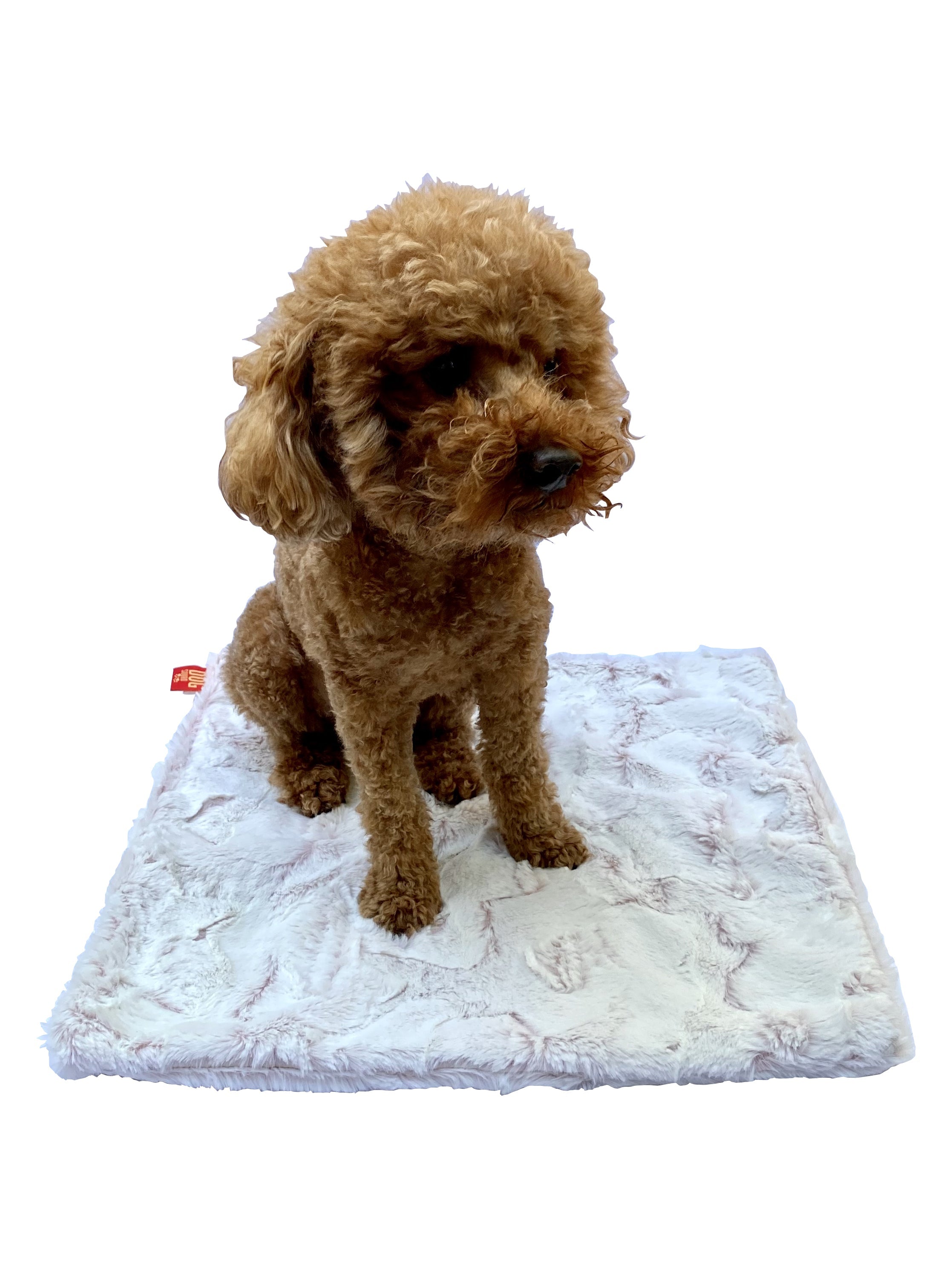 Carrier Square Blanket, Frosted Rosewater