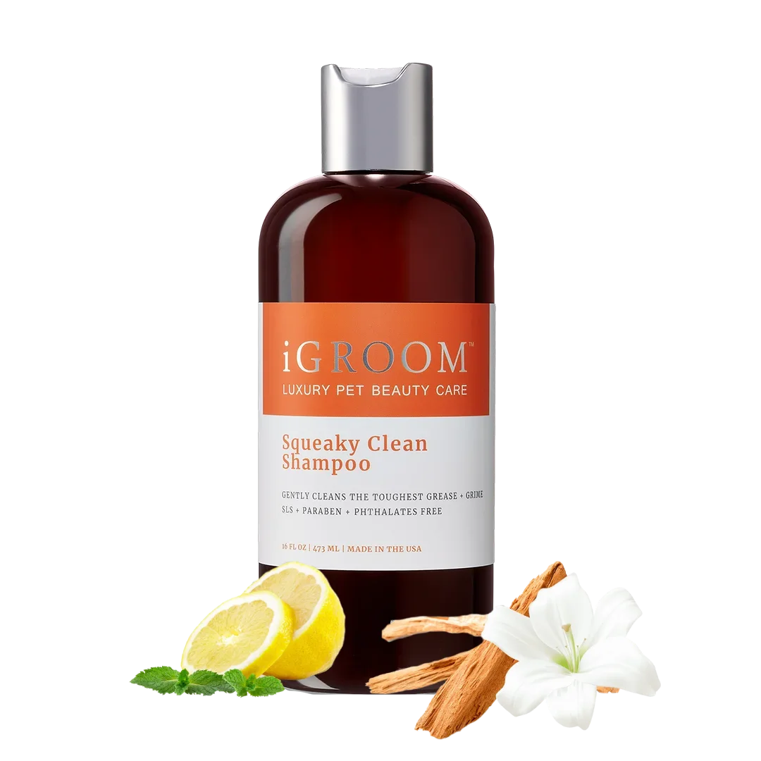Squeaky Clean Shampoo 16oz by iGroom