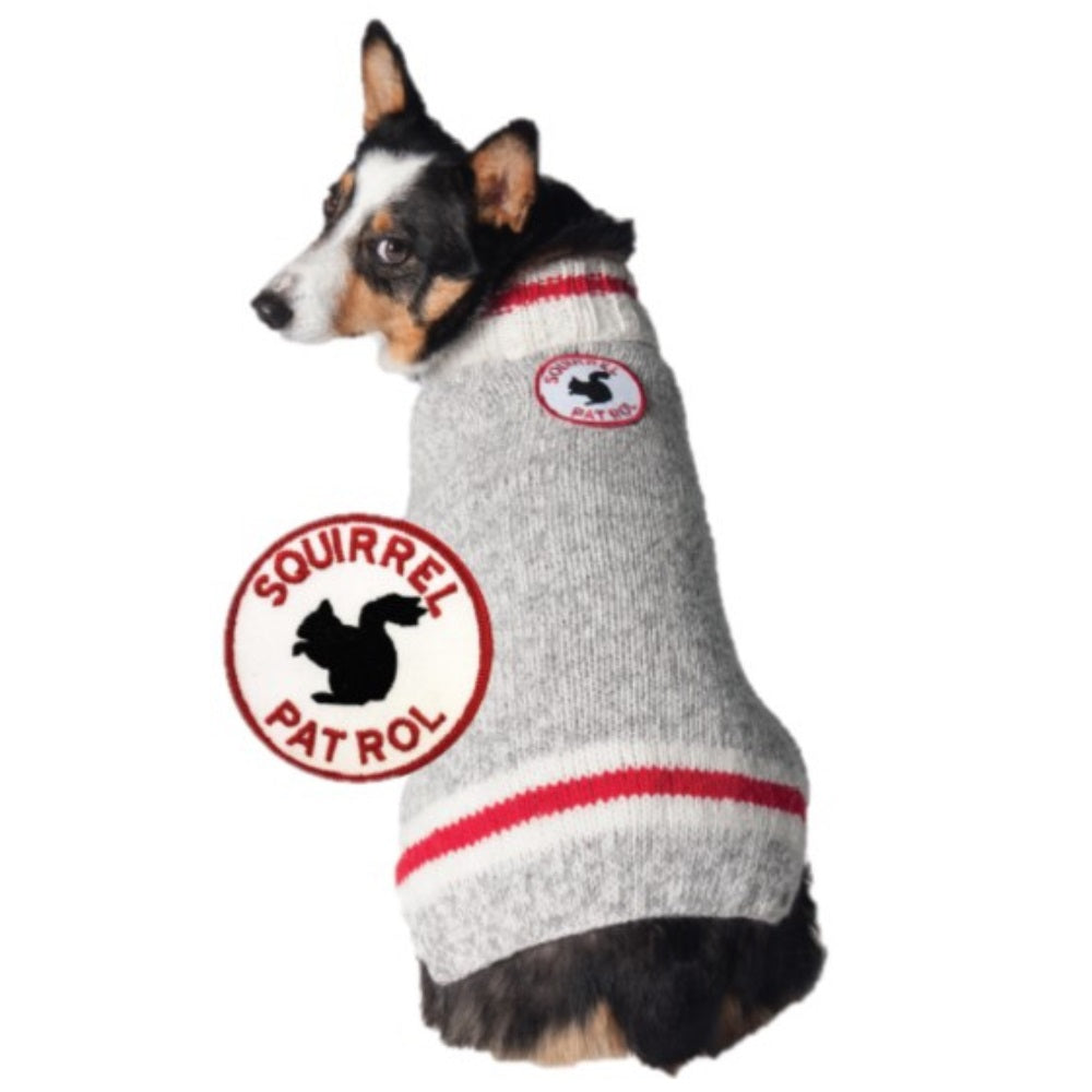 Chilly Dog Squirrel Patrol Wool Dog Sweater