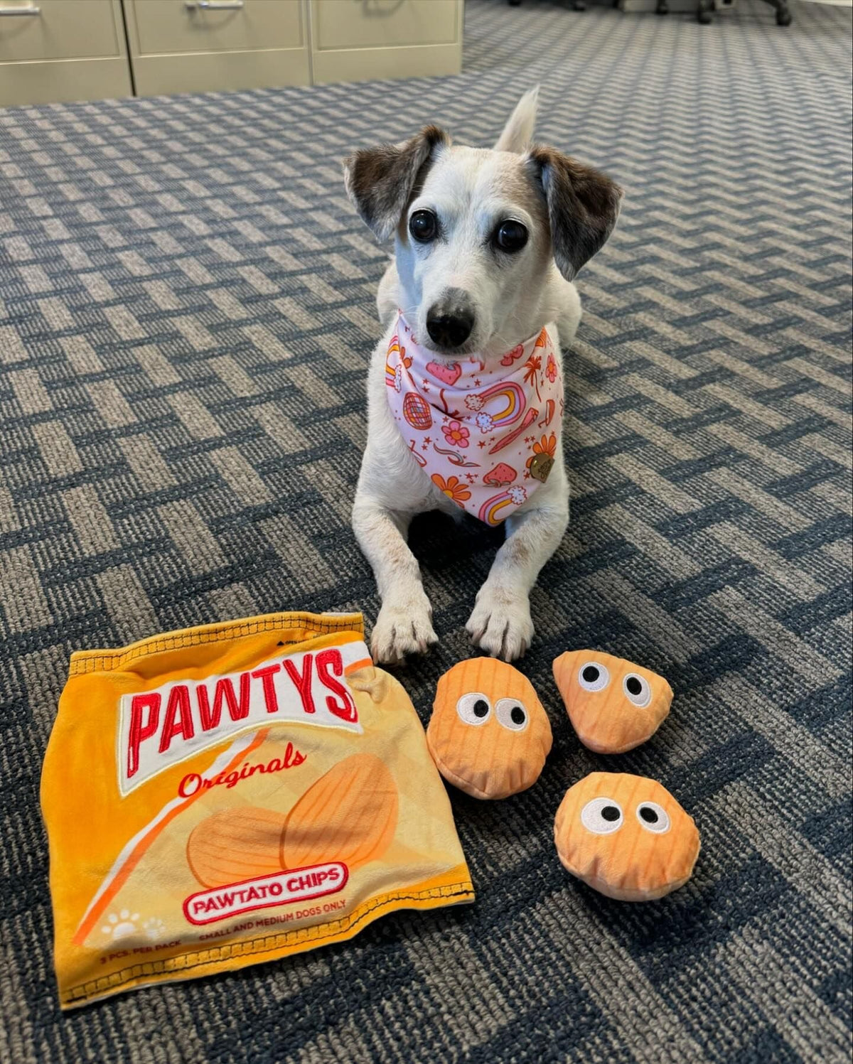 Pawty Pawtato Chips Plush Squeaky Dog Toy