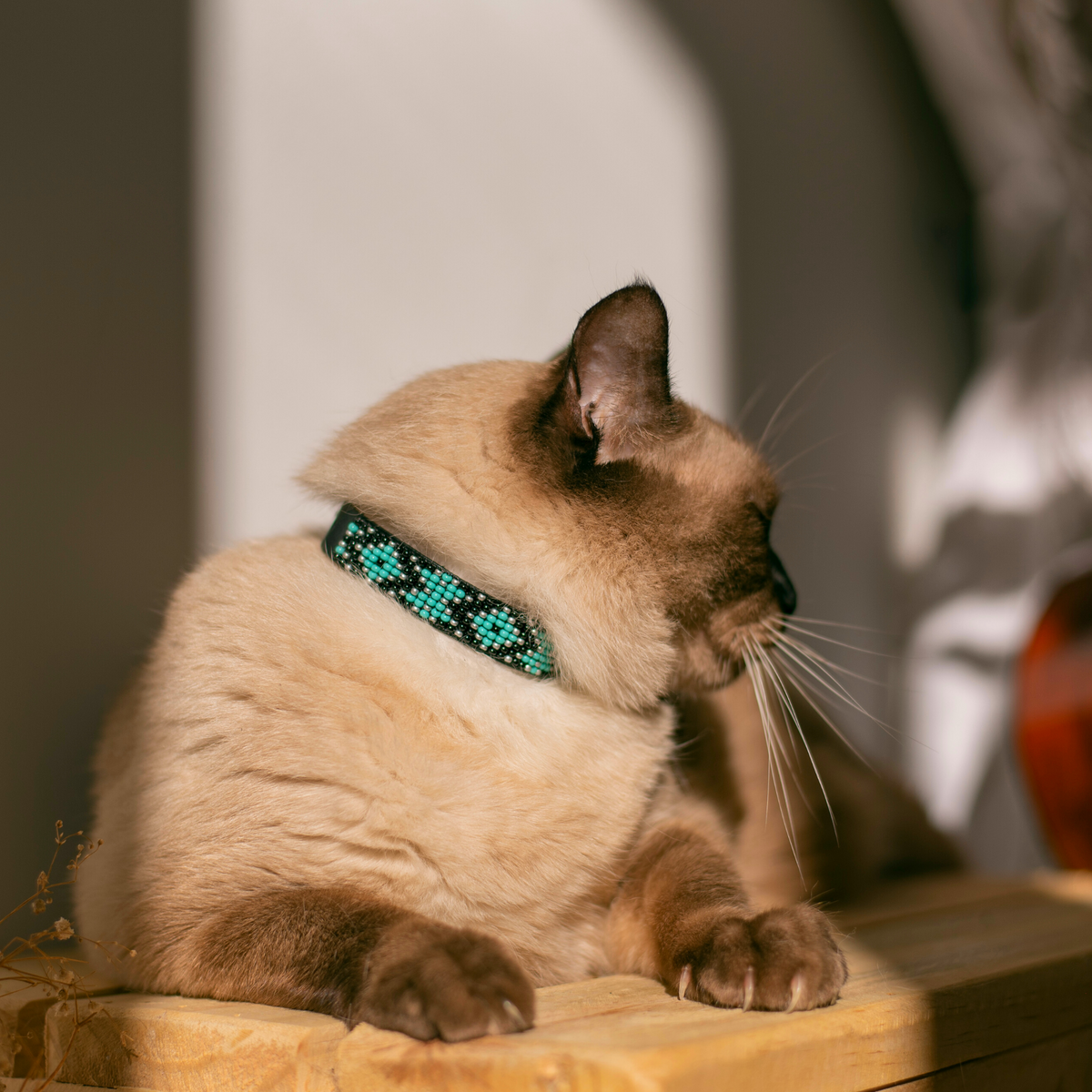 Saint Barth Sambboho cat collar