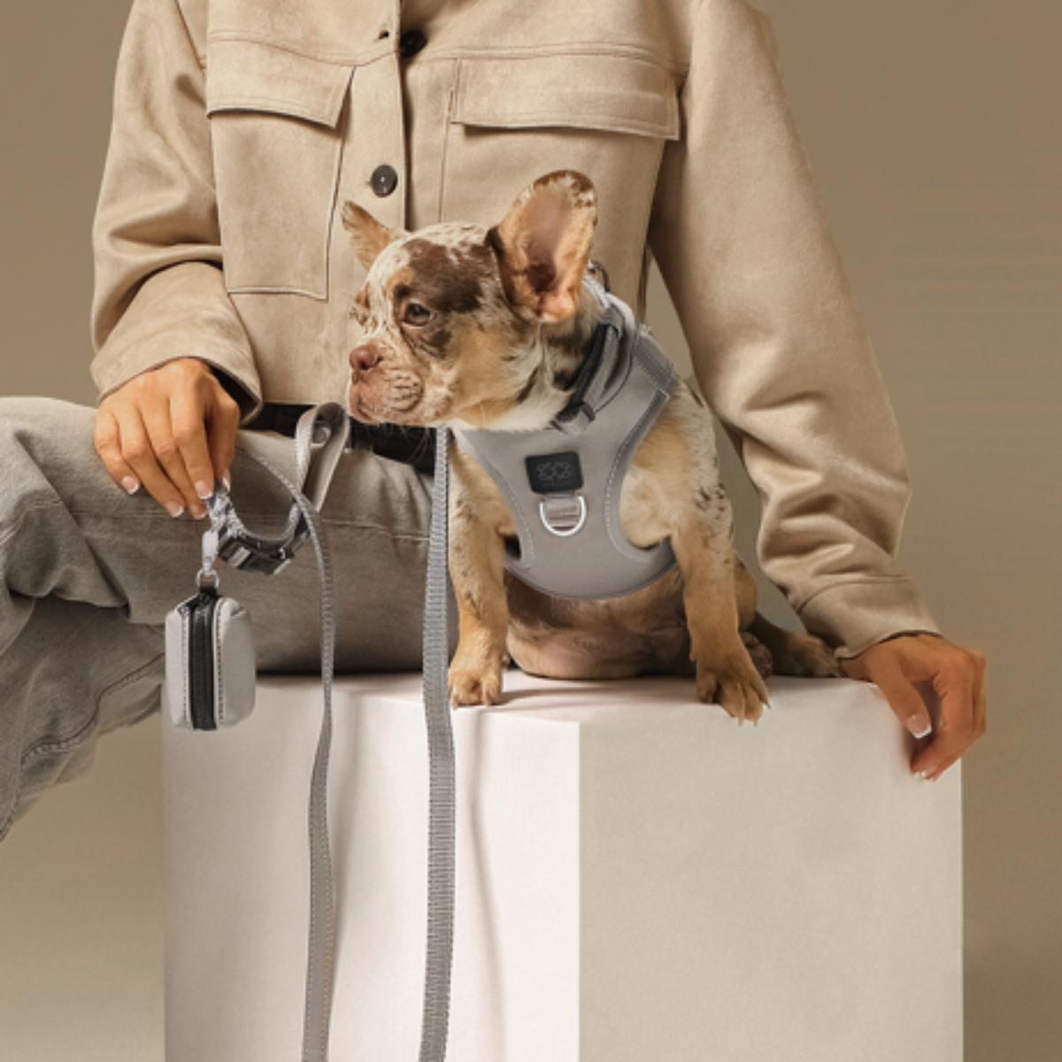 DOGISTRY SoHo Dog Harness - Steel