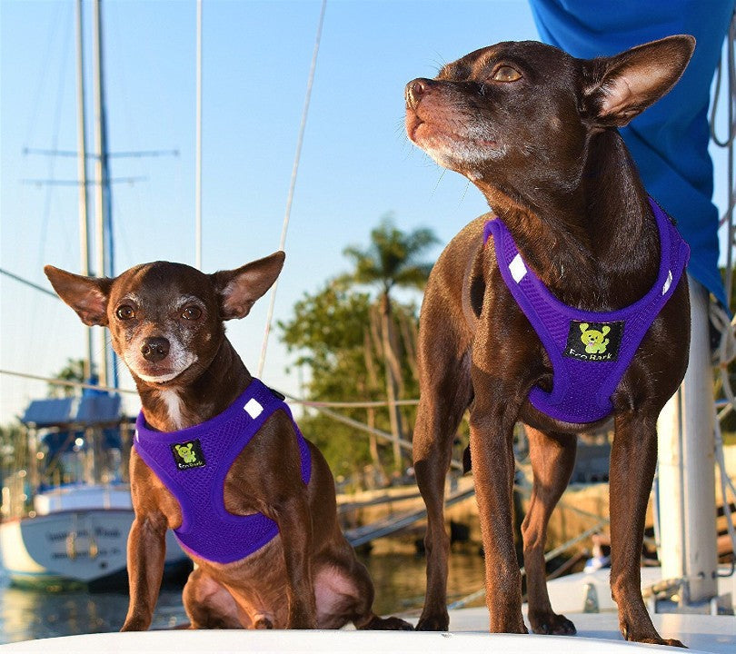EcoBark Step In Dog Harness - Teacup & Small Breeds- Reflective Soft Mesh Harness for Teacup, Small Dogs and Puppies / Purple