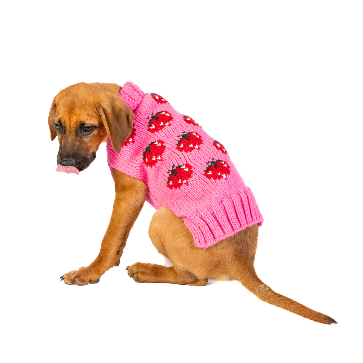 Chilly Dog Strawberry Wool Dog Sweater