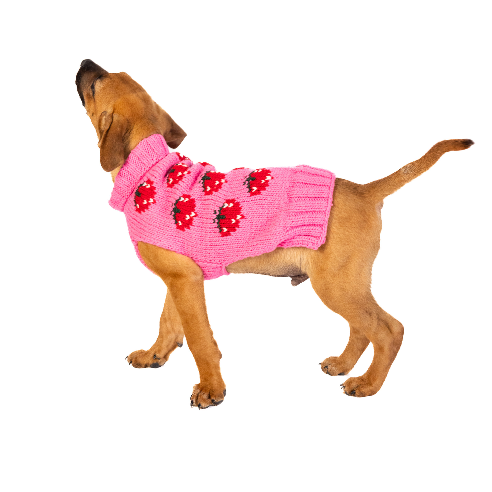 Chilly Dog Strawberry Wool Dog Sweater
