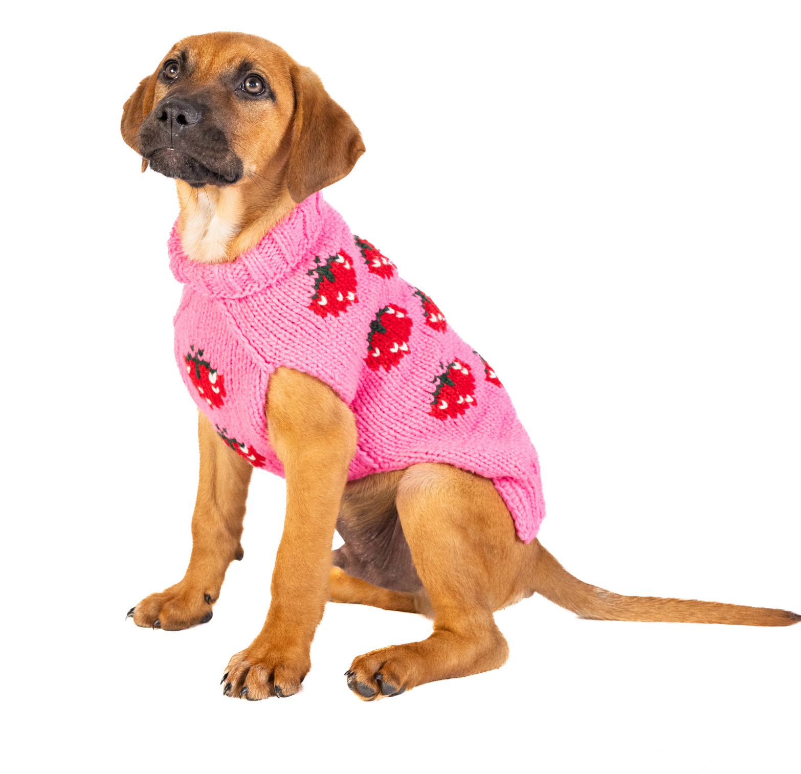 Chilly Dog Strawberry Wool Dog Sweater