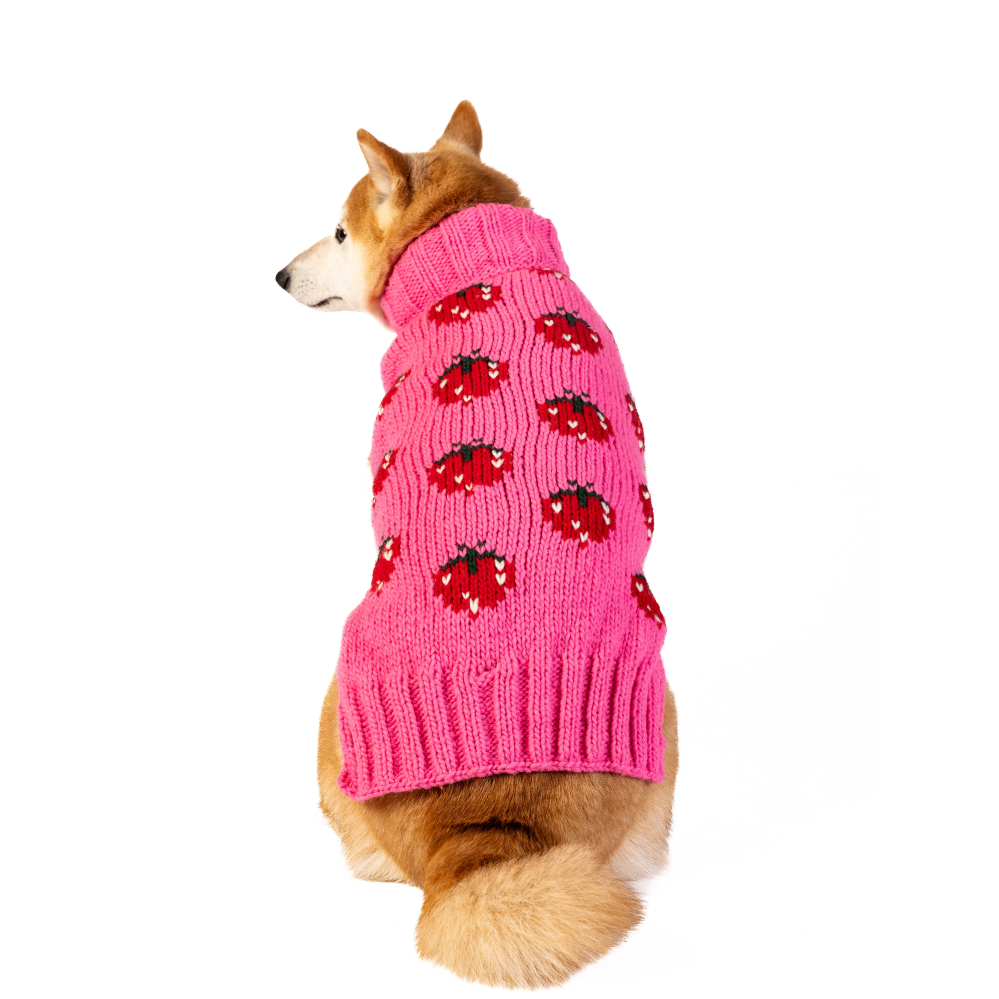 Chilly Dog Strawberry Wool Dog Sweater