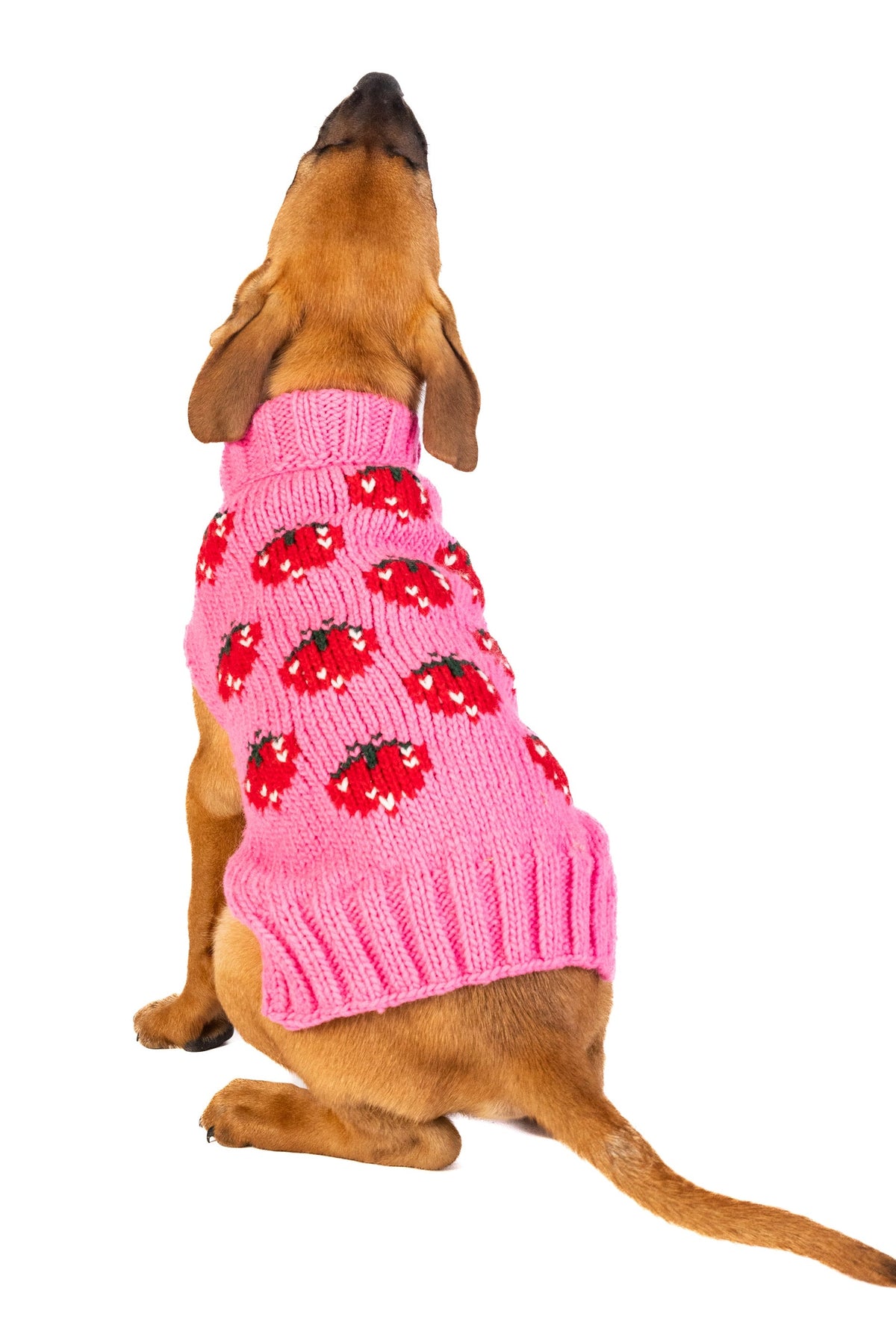Chilly Dog Strawberry Wool Dog Sweater