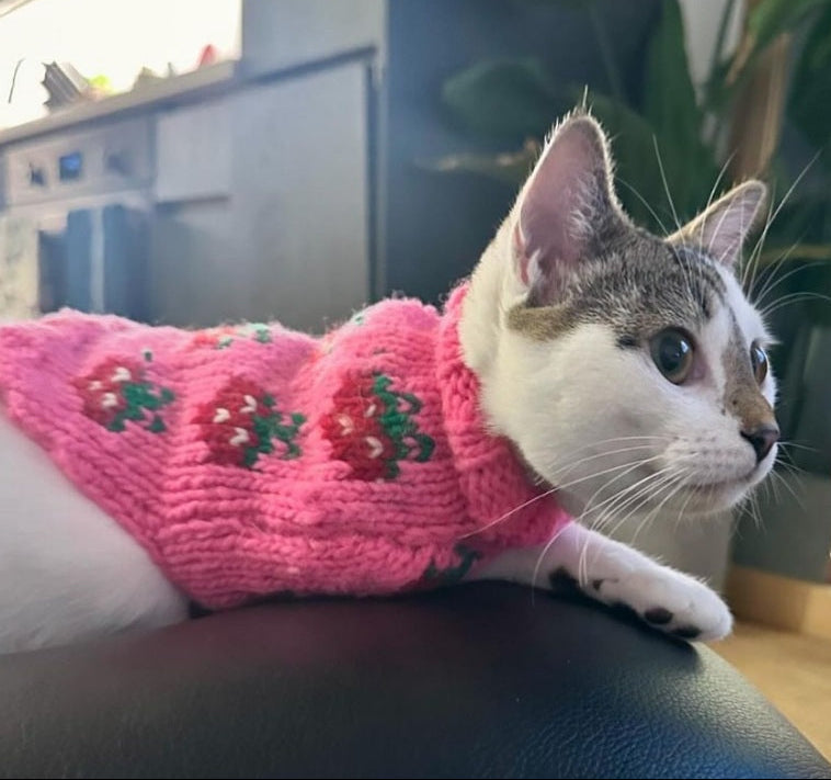 Chilly Dog Strawberry Wool Dog Sweater
