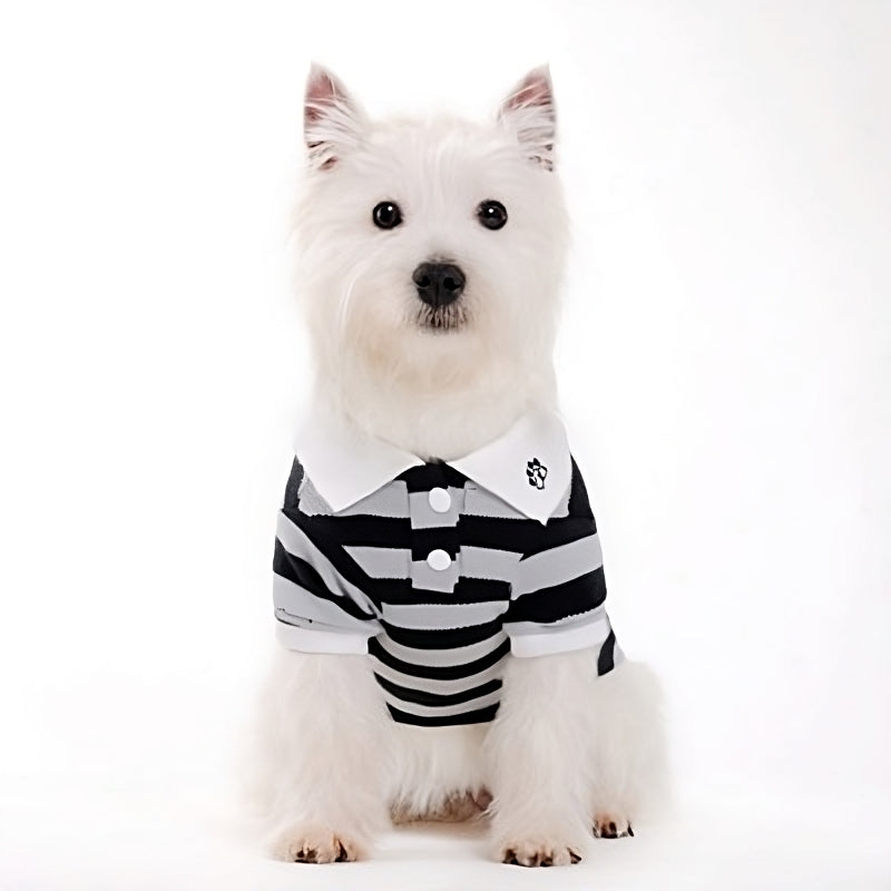 DOGO Stripe Polo Dog Shirt