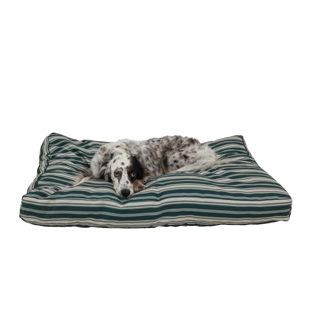 Striped Jamison Indoor Outdoor Dog Bed