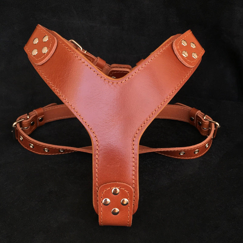 Bestia Dog Gear Genuine Leather Dog Harness - Brown/M 