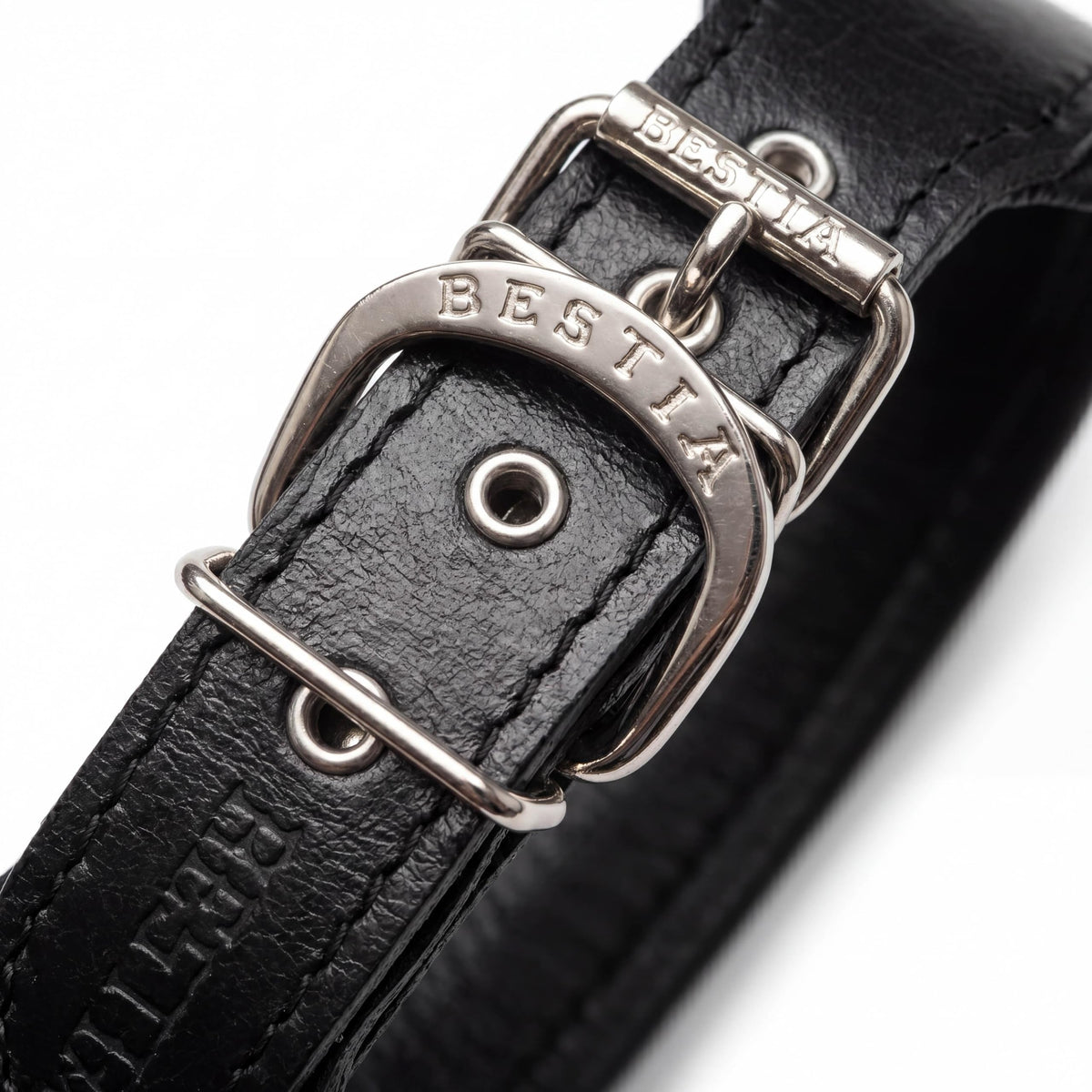 Bestia Stylish 2-Inch Wide Leather Dog Collar