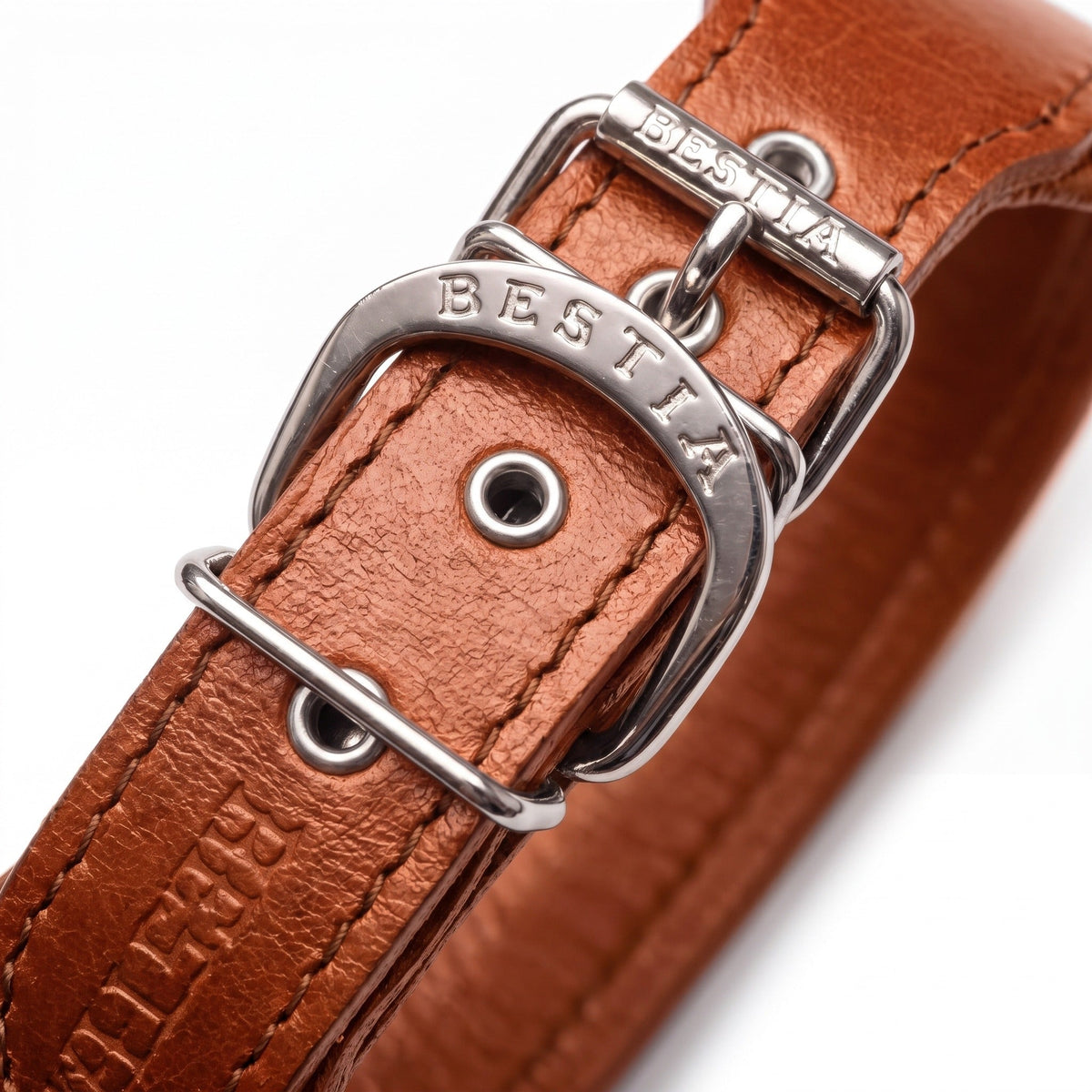Bestia Stylish 2-Inch Wide Leather Dog Collar