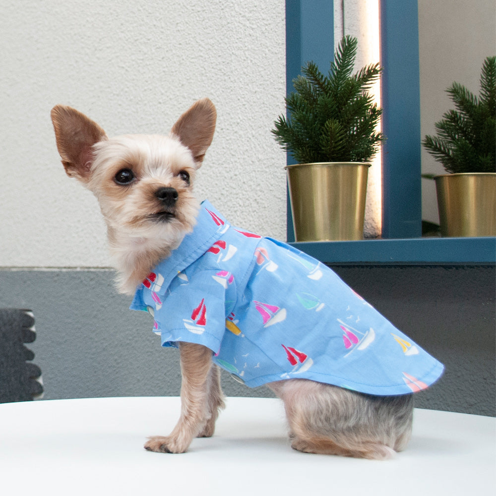 DOGO Summer Beach Dog Shirt