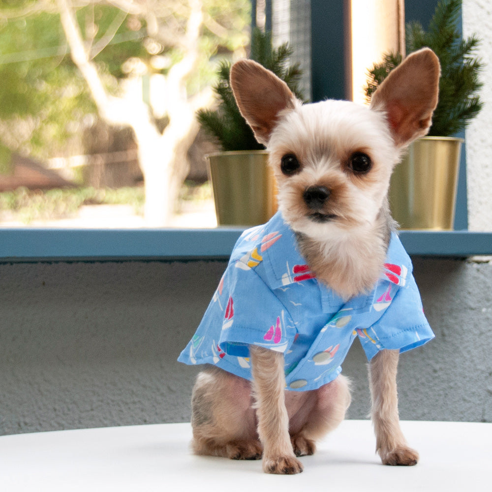 DOGO Summer Beach Dog Shirt