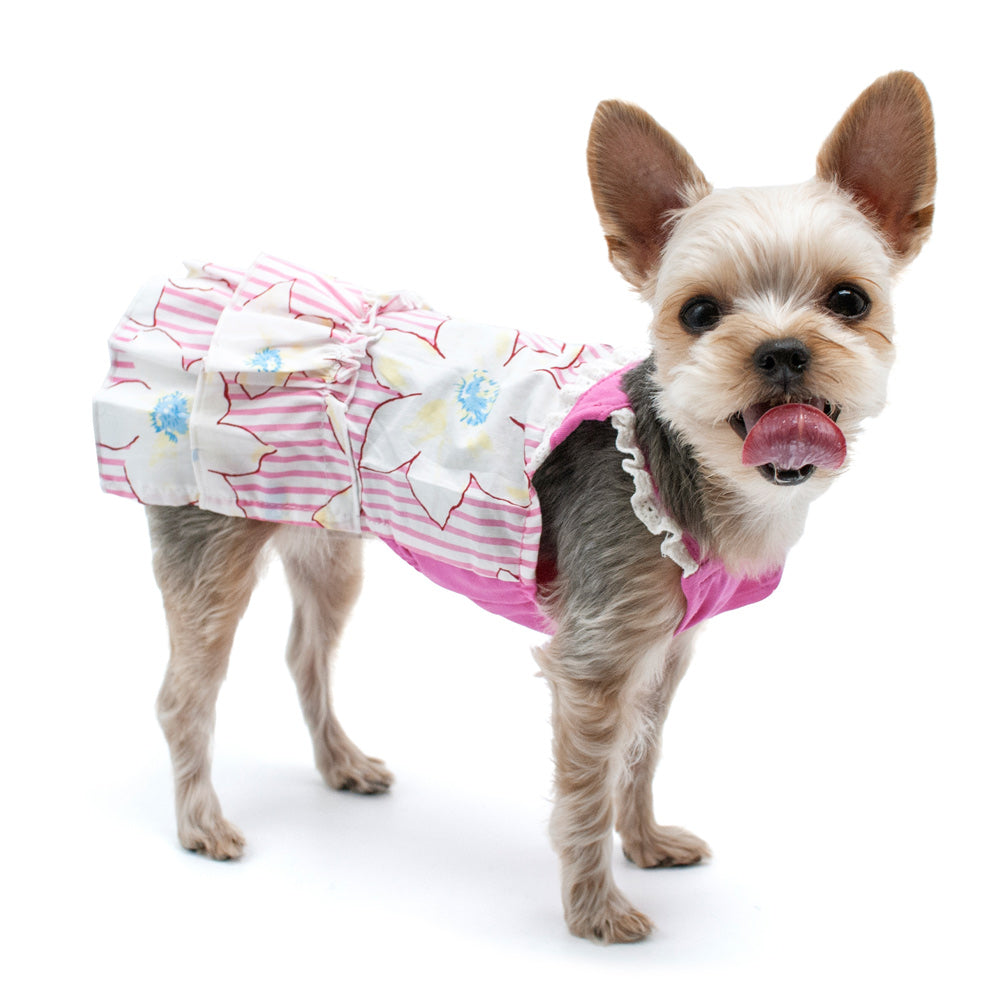 DOGO Summer Flower Dog Dress