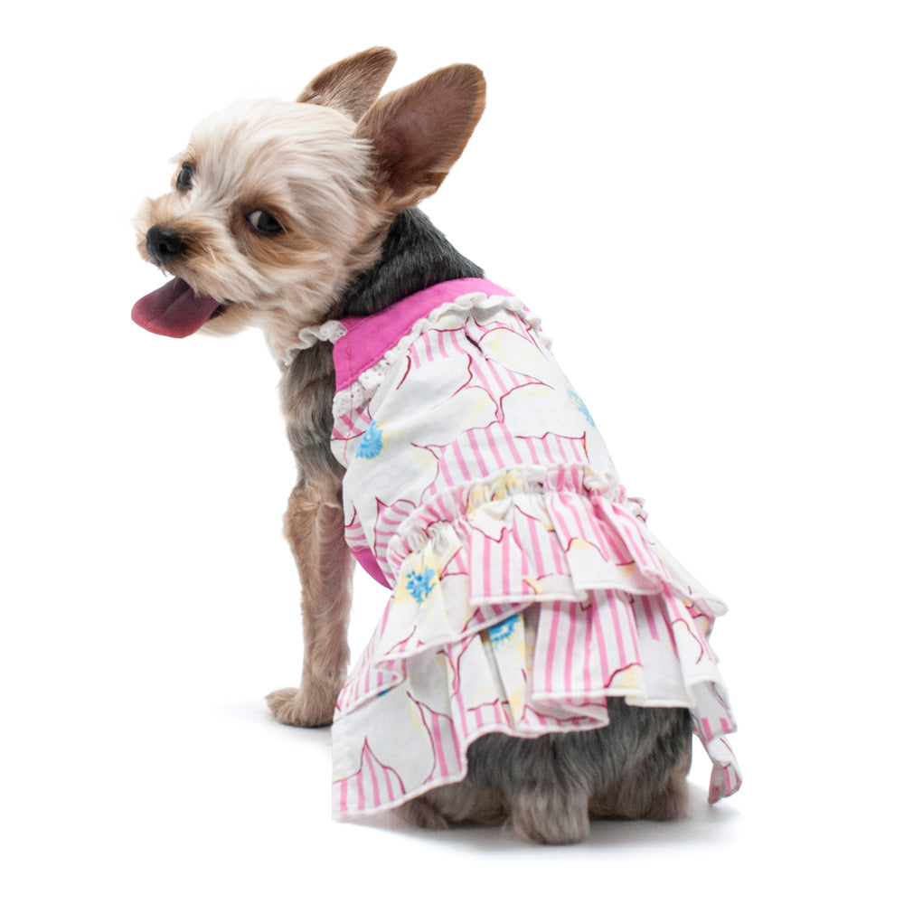 DOGO Summer Flower Dog Dress